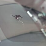 muestra combinado (2)